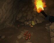 Чей-то лагерь в ответвлении(режим истории)