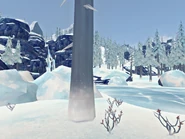 Шиповника тут немало