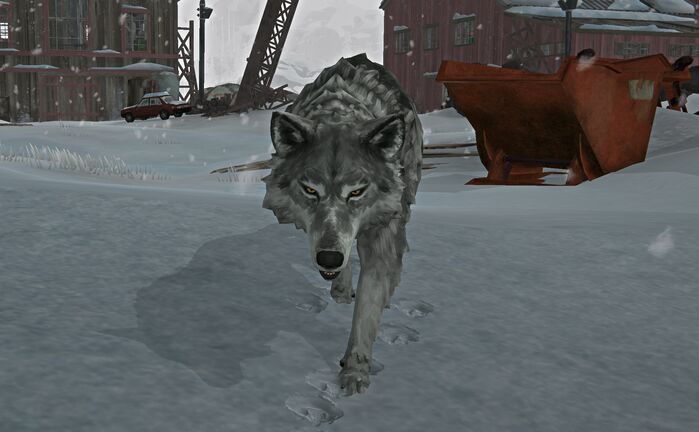 Lobo gris | Wiki The Long Dark | Fandom