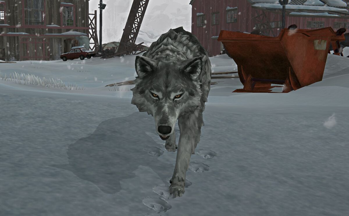 Лесной волк | The Long Dark Wiki | Fandom