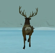 Ciervo herido huyendo