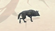 Wolf stalking.jpg (50 kB) Un lobo en modo acecho