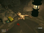 Он так и не смог выбраться