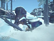 Поваленное дерево