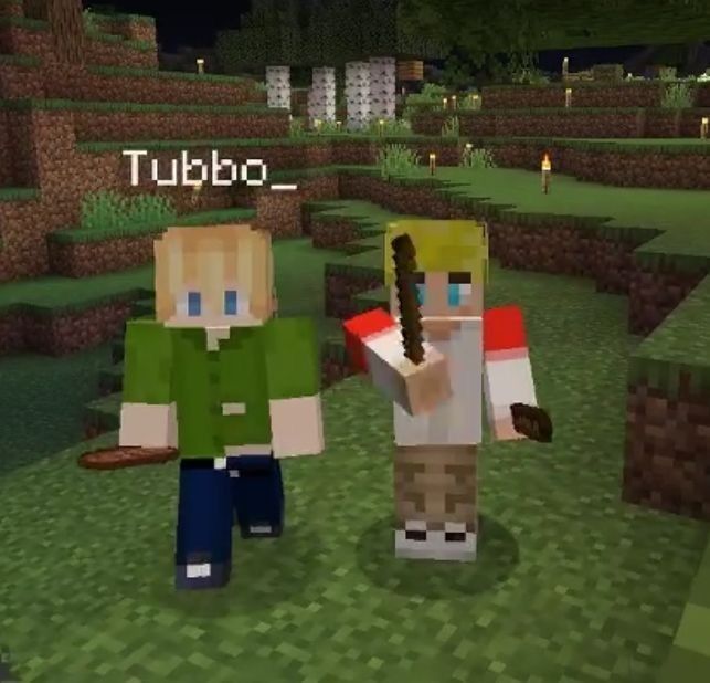 Building of ur Minecraft skin and some of the Dream smp members, sorry abt  the bad pic quality:p : r/Tubbo_