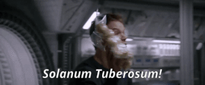 Ezgif.com-add-text (2).gif
