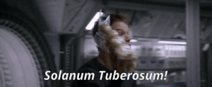 Ezgif.com-add-text (2).gif