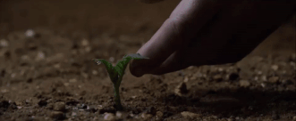 Ezgif.com-add-text (1).gif