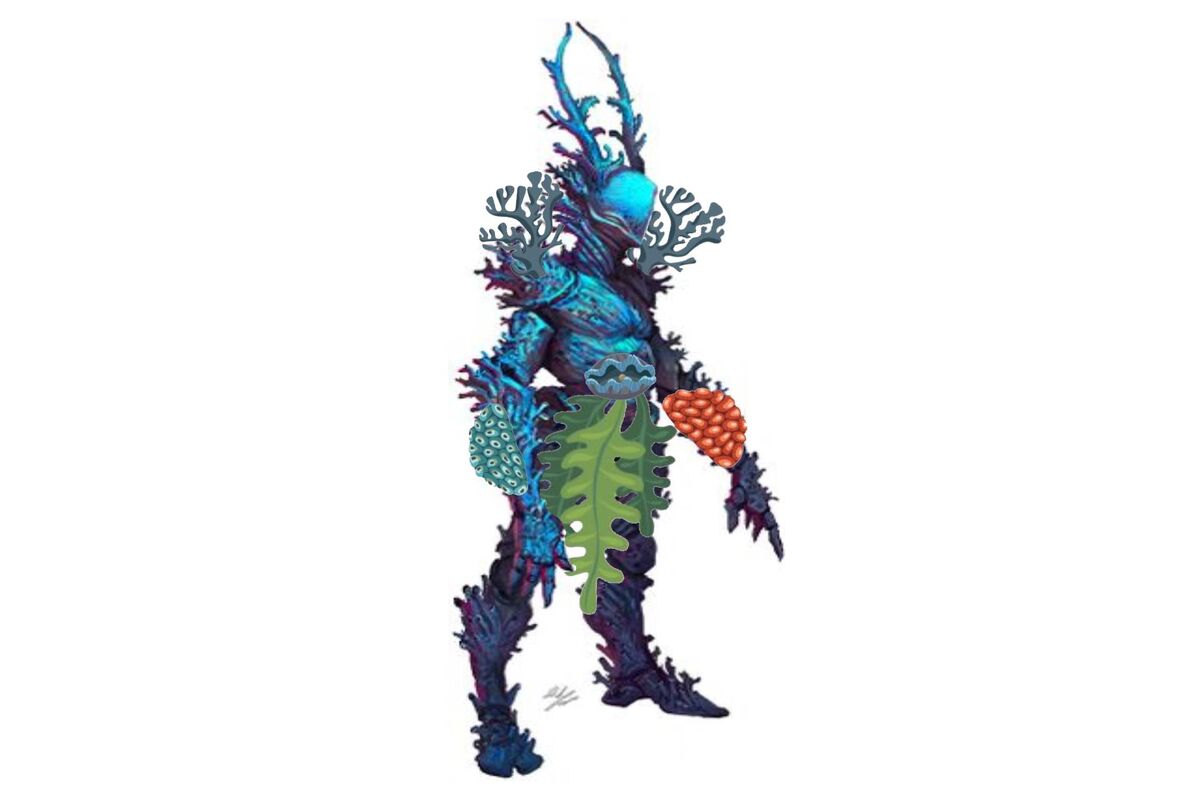 Coral Creature | The Masked Singer (Magic Edition) Wiki | Fandom
