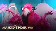 The Clues Flamingo Season 2 Ep