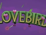 Lovebird