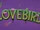 Lovebird