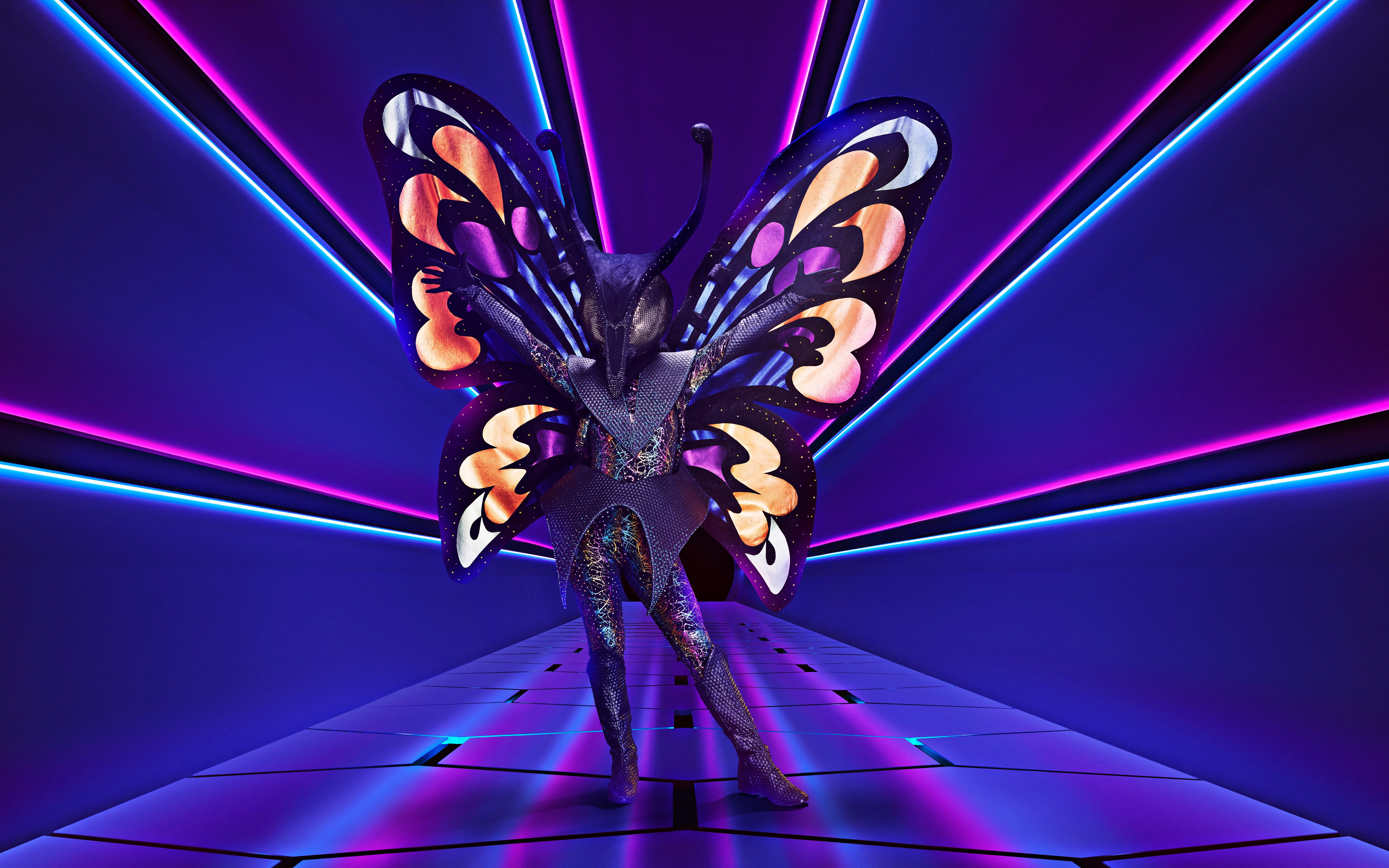 Песня мотылька из маски. Маскед Сингер. The masked Singer шоу. Шоу маска бабочка. The masked Singer бабочка.
