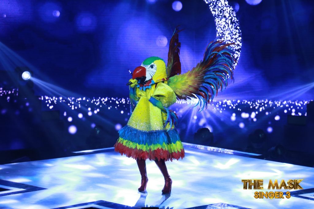 Macaw The Masked Singer Wiki Fandom