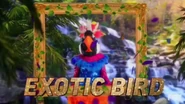 Exotic Bird's clue intro