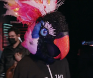 Exotic Bird backstage with a "Don't Talk to Me" hoodie