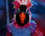Exotic Bird onstage
