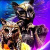 BlackPantherLeopard-Small