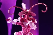 Ant during her third and last main performance