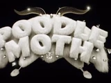 Poodle Moth