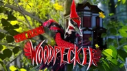 Woodpecker's clue intro