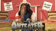AnteaterClueIntro.jpg (2.36 MB) Anteater’s Clue Intro