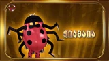 Ch’iamaia