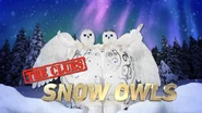 SnowOwlsClueIntro.jpg (1.25 MB) Snow Owls’ Clue Intro