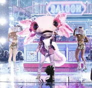 Axolotl singing "Can't Fight the Moonlight"