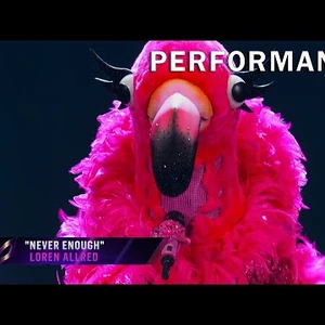 Flamingo Us The Masked Singer Wiki Fandom