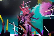 Coral during her fourth main performance
