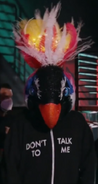 Exotic Bird wearing a "Don't Talk to Me" hoodie