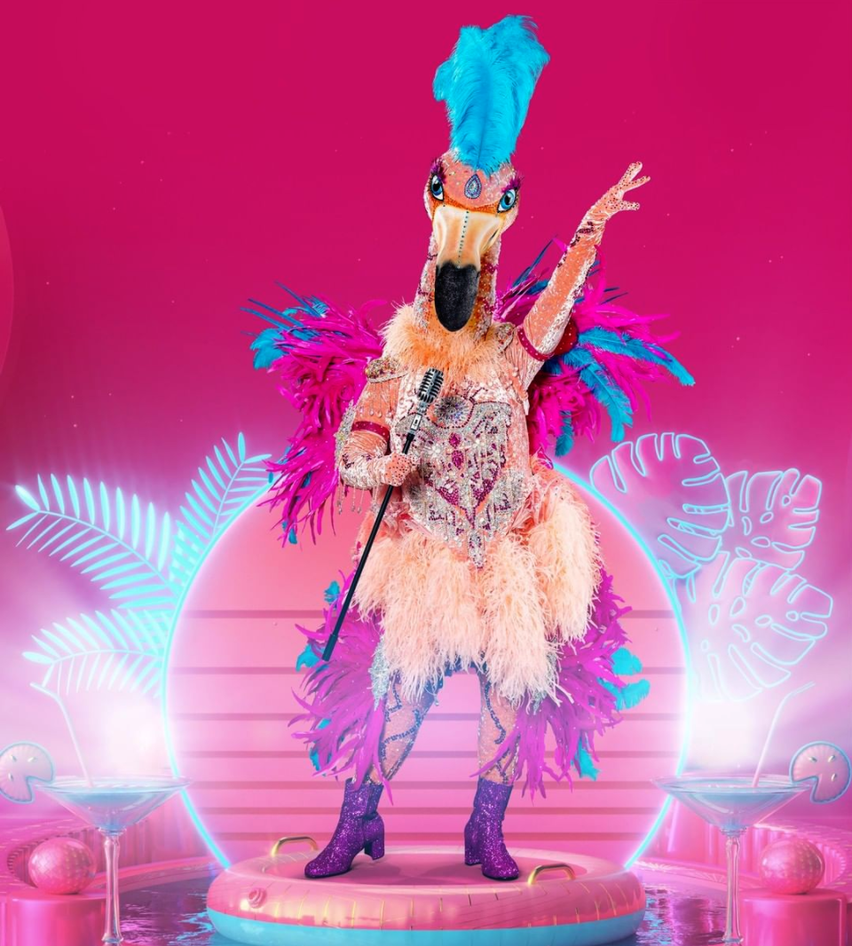 Flamingo (GM) The Masked Singer Wiki Fandom