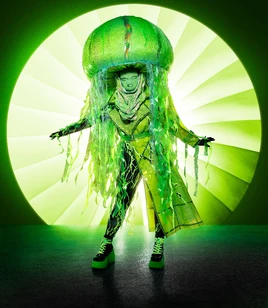 TMS-US S4-Jellyfish