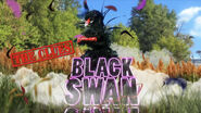 Black Swan’s Clue Intro