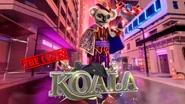 Koala's clue intro