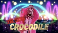 Crocodile’s Clue Intro