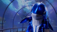 Orca family man.jpg (44 KB)