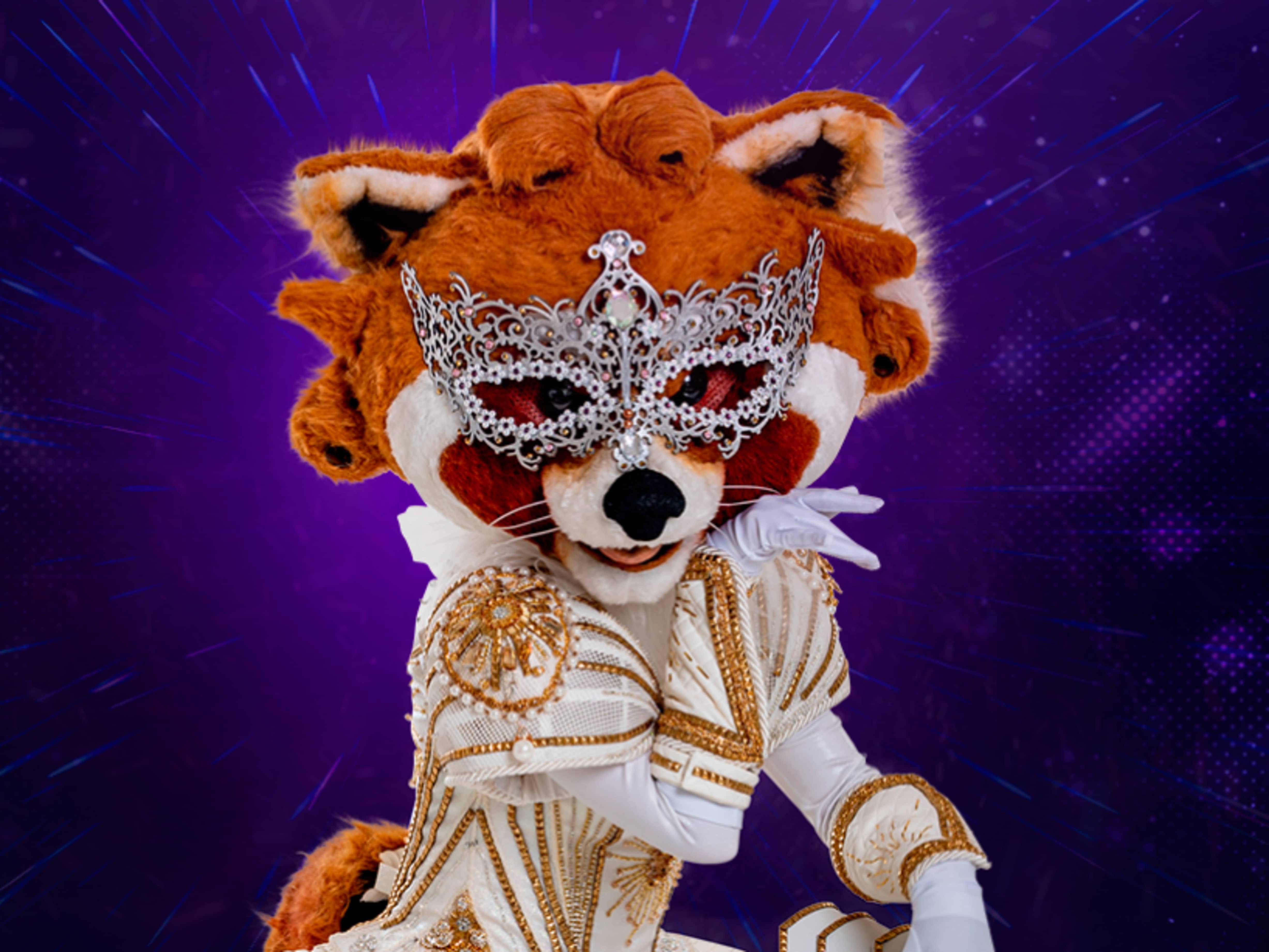 Mapache The Masked Singer Wiki Fandom