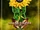 Girasol (ES)