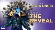 The Peacock Is Revealed Season 1 Ep