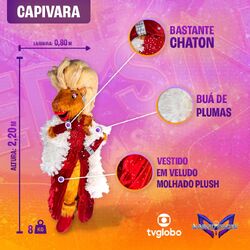 the mask singer capivara｜TikTok Search