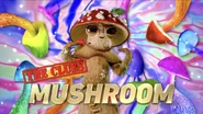 Mushroom’s Clue Intro