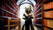 Skunk in the library