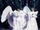 Snow Owls