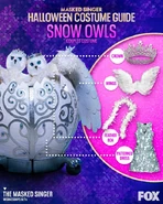 Snow Owls costume.jpg (116 KB)