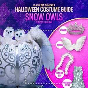 Snow Owls The Masked Singer Wiki Fandom