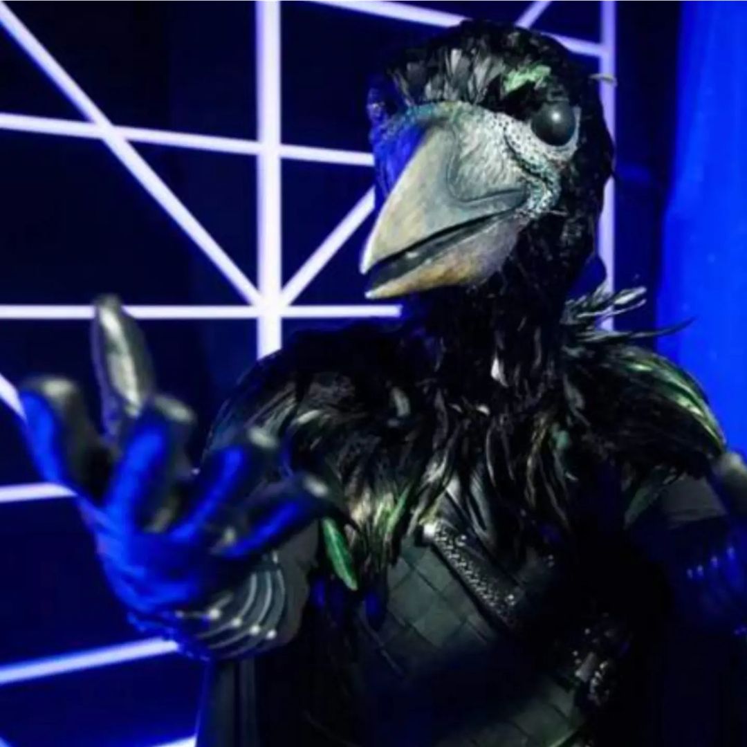 Corbeau | The Masked Singer Wiki | Fandom