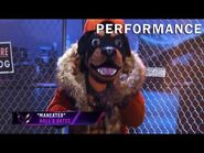 Rottweiler sings "Maneater" by Hall & Oates - THE MASKED SINGER - SEASON 2
