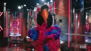 Exotic Bird blowing a kiss to the camera